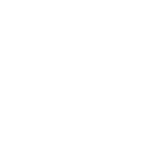 Scarlet Security Services LTD.