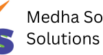 MEDHA SOFTWARE SOLUTIONS INC