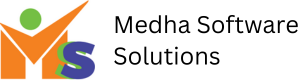 MEDHA SOFTWARE SOLUTIONS INC