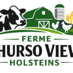 Ferme Thurso View Holsteins